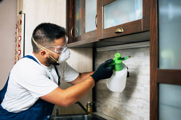Best Termite Control Services  in North Richmond, CA