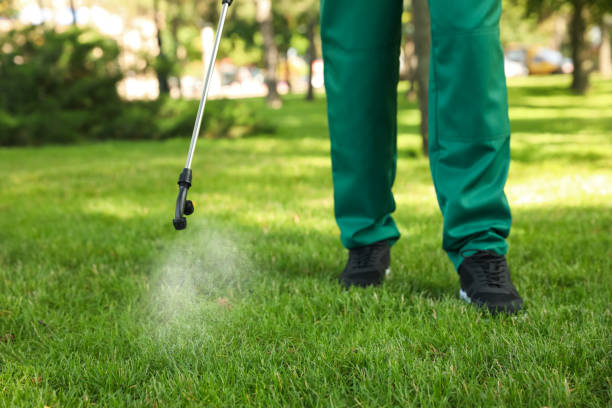 Best Pest Control Near Me  in North Richmond, CA