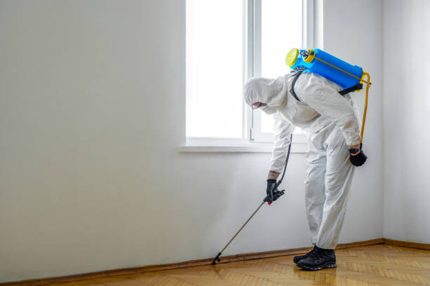 Best Flea Control Services  in North Richmond, CA