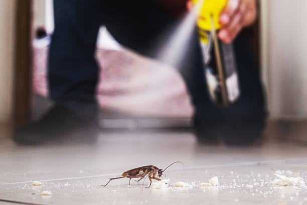  North Richmond, CA Pest Control Pros