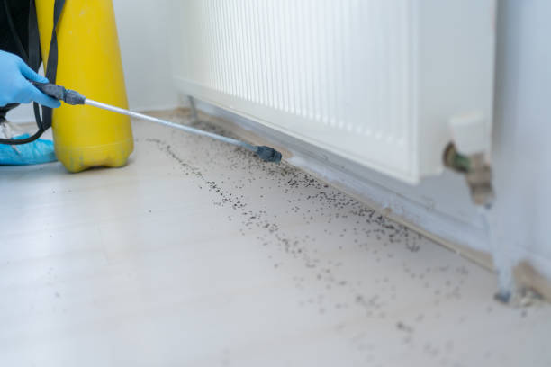 Best Rat Extermination Near Me  in North Richmond, CA