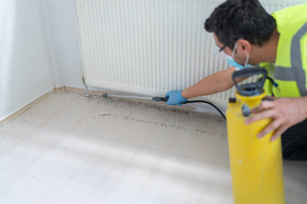 Best Commercial Pest Control Services  in North Richmond, CA